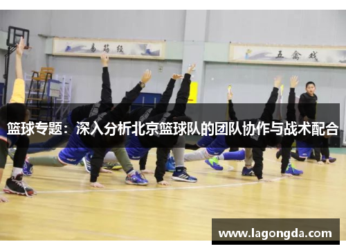 篮球专题：深入分析北京篮球队的团队协作与战术配合