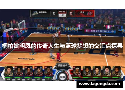 桐柏姚明凤的传奇人生与篮球梦想的交汇点探寻